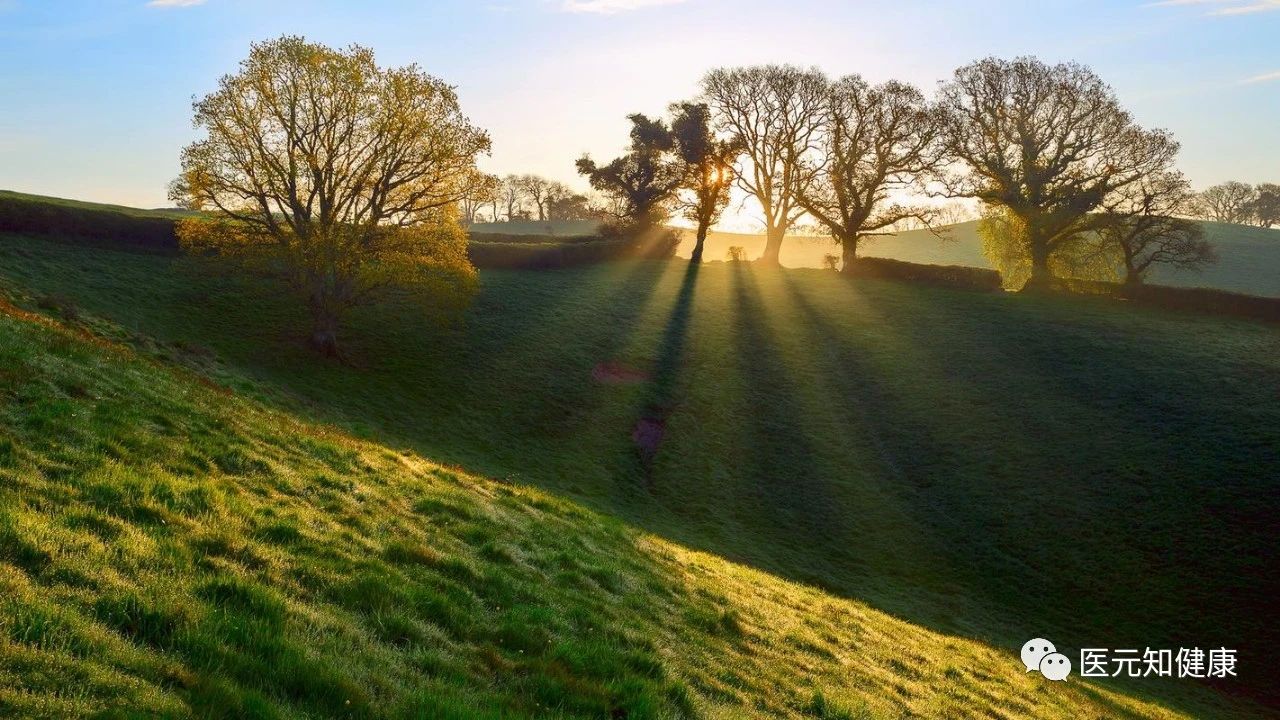 空腹血糖高怎么降最快最好,空腹血糖一直高怎么调理降下来