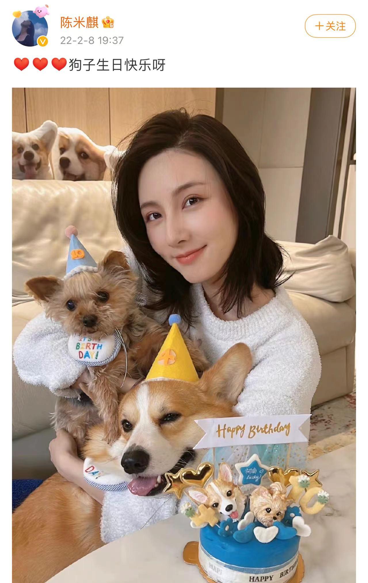 王思聪对汪小菲和大s的看法,王思聪评价大s汪小菲最新