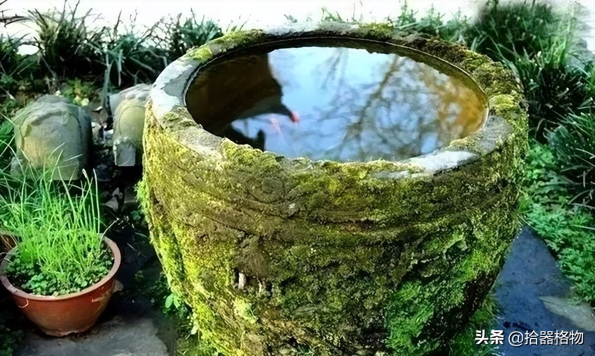 古代养金鱼怎么养活的,来谈一谈古人是如何养金鱼的