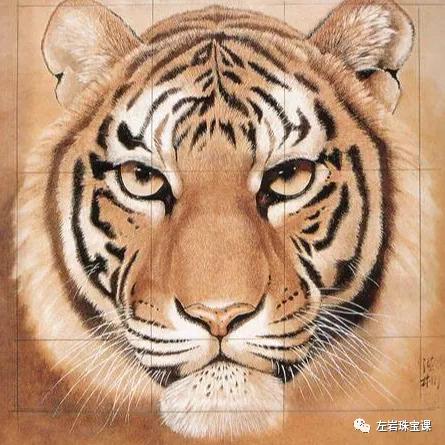 黄金生肖虎的寓意,黄金生肖虎寓意