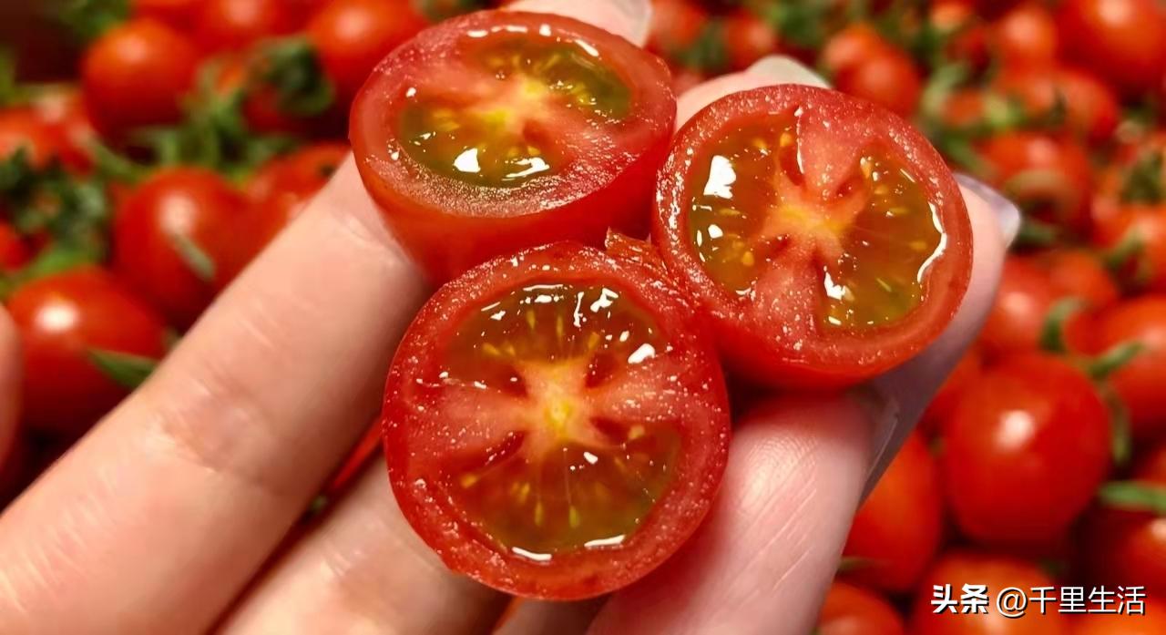 海南千禧樱桃圣女果,新鲜樱桃圣女果