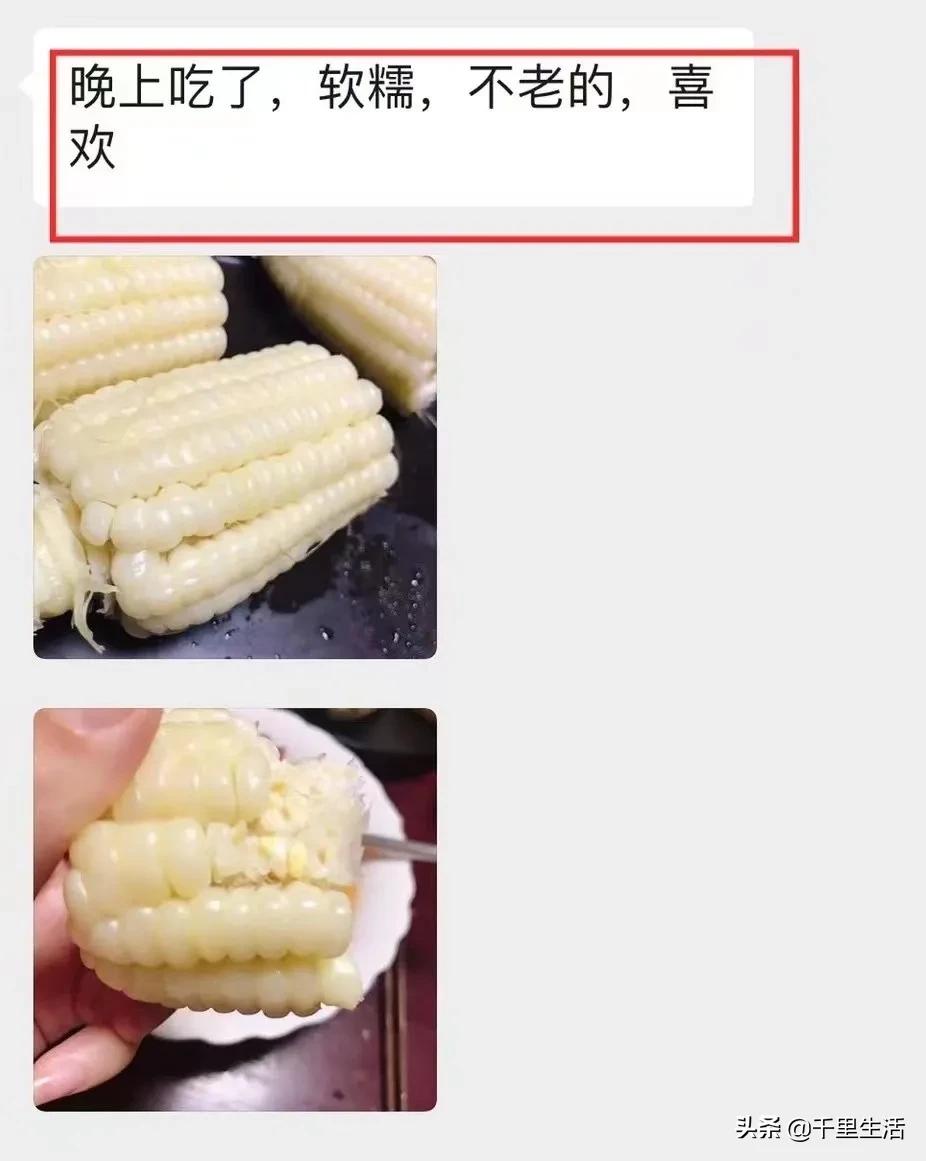 玉米界的“爱马仕”，一*爆口**浆，简直停不下来