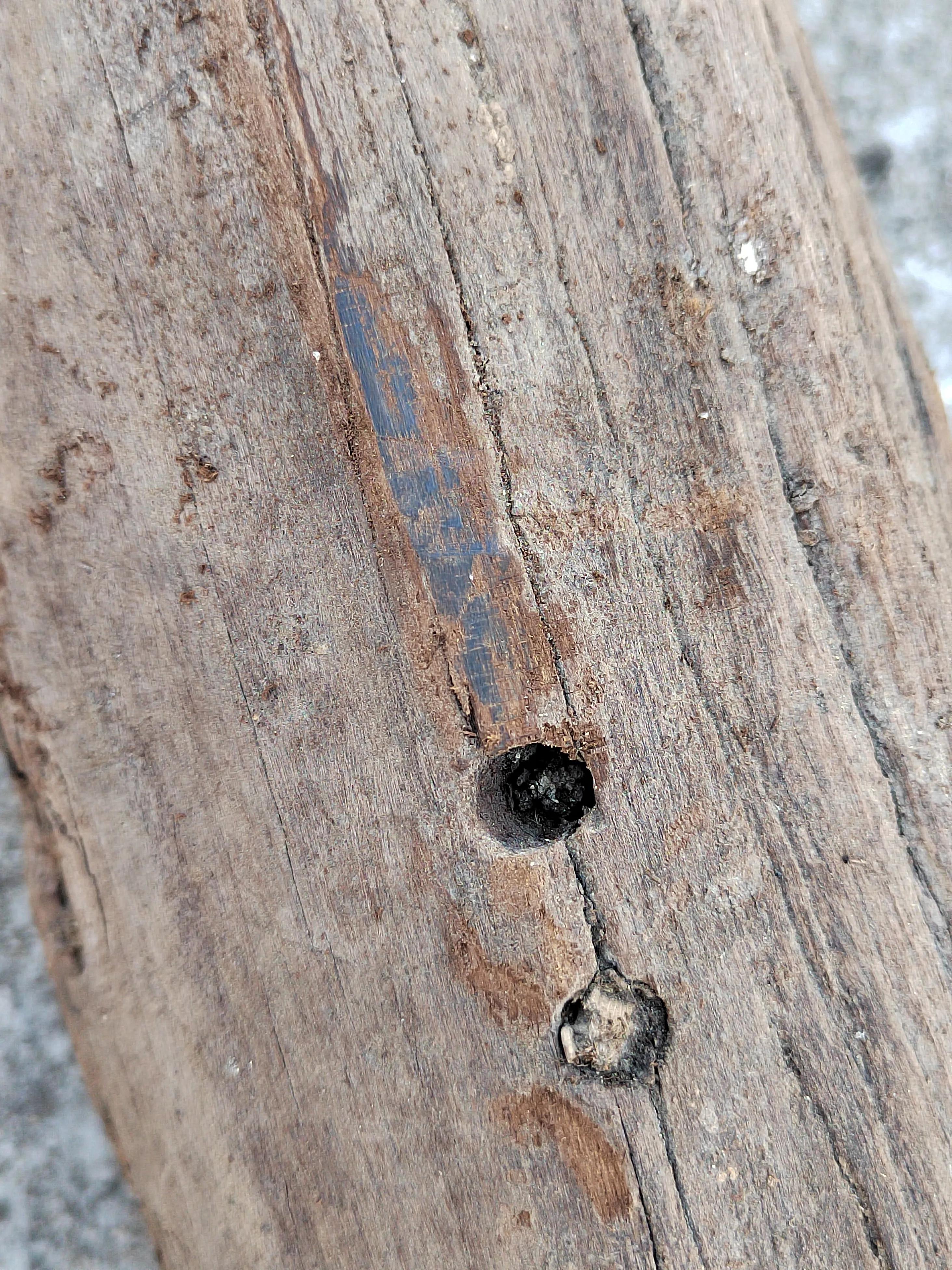 白奇楠莺歌绿奇楠黑奇楠哪个好,黑奇楠和白奇楠沉香哪个好