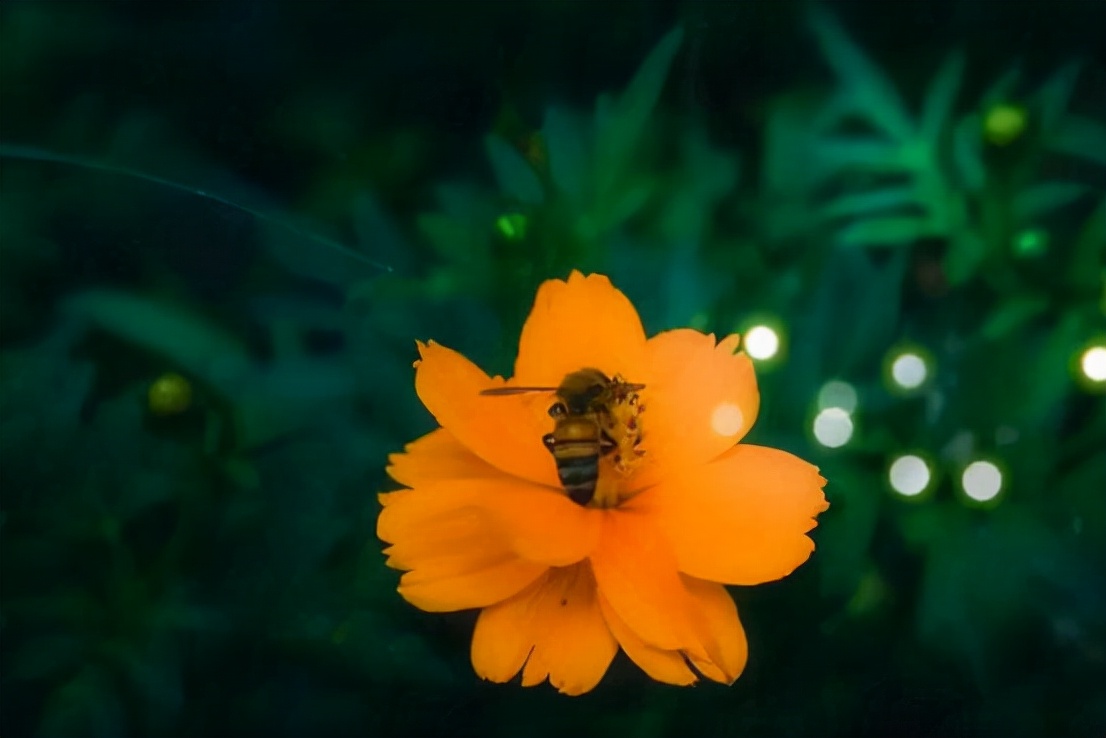 男人撩你和爱你，连发微信的方式都不一样