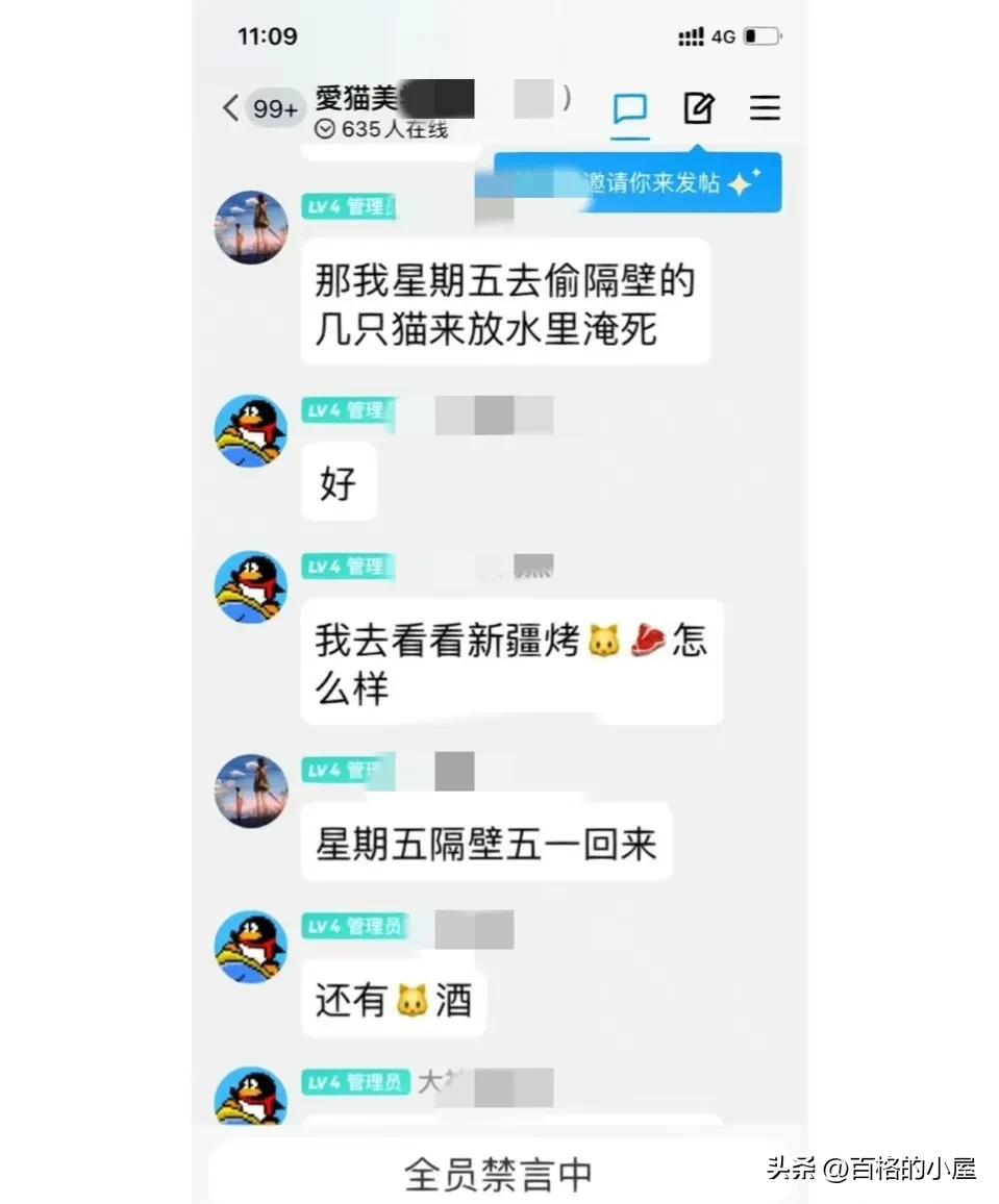 恶趣味！以爱猫为幌子售卖虐猫视频，10元30G，群内讨论虐猫手法