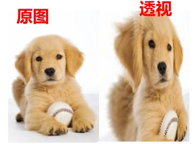 轻量级图像增强,图像增强的展望