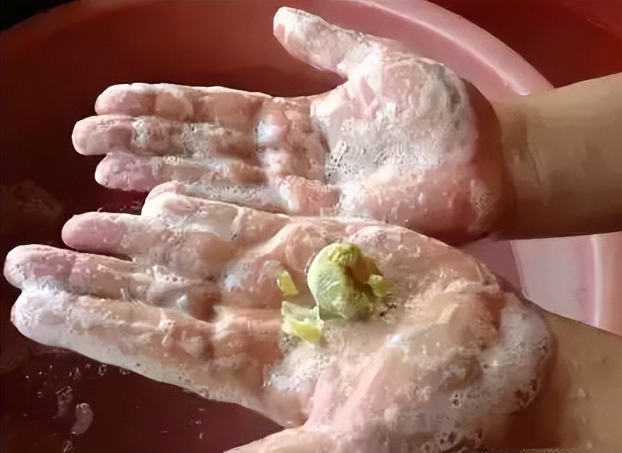 这种菩提子佛珠很容易就可以盘出玻璃底！南方公园里就可以捡到