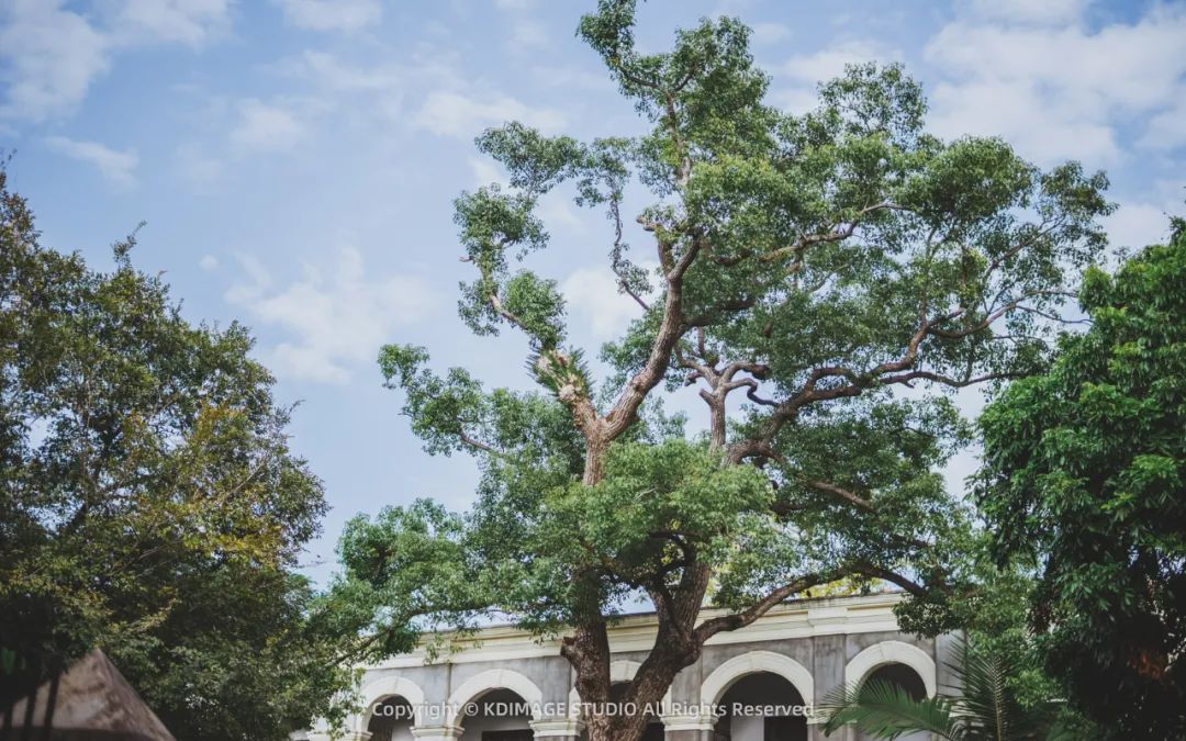 厦门鼓浪屿,一个充满文艺清新和历史感的岛屿
