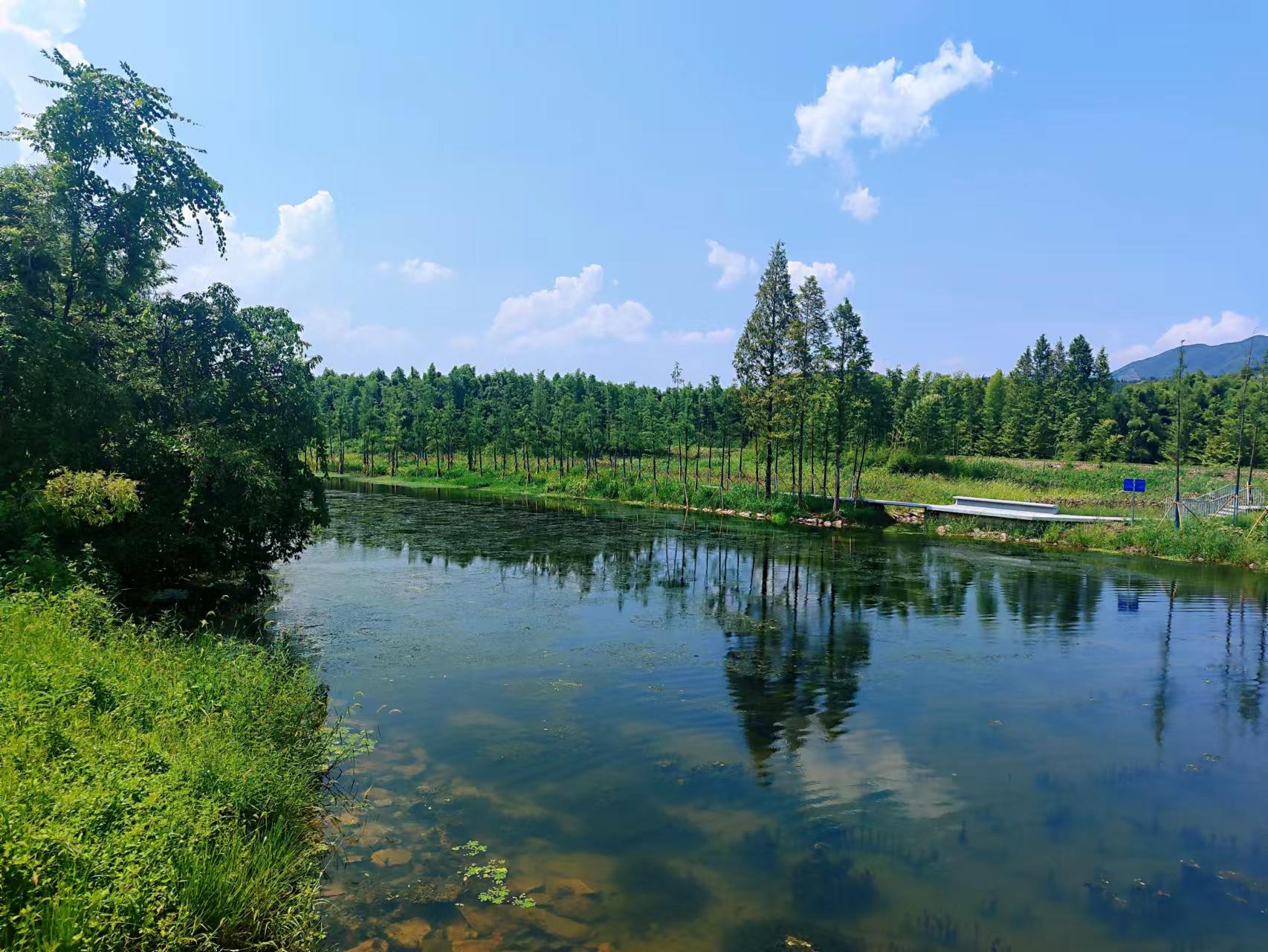 西塞山前白鹭飞图文,西塞山前白鹭飞风景