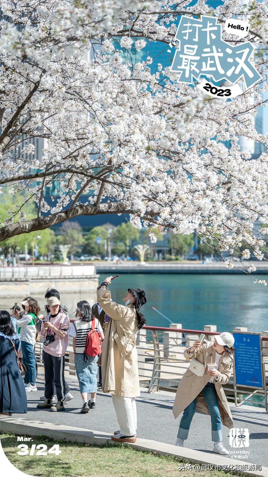 来武汉一定要去一趟东湖看荷花,来武汉看樱花吧