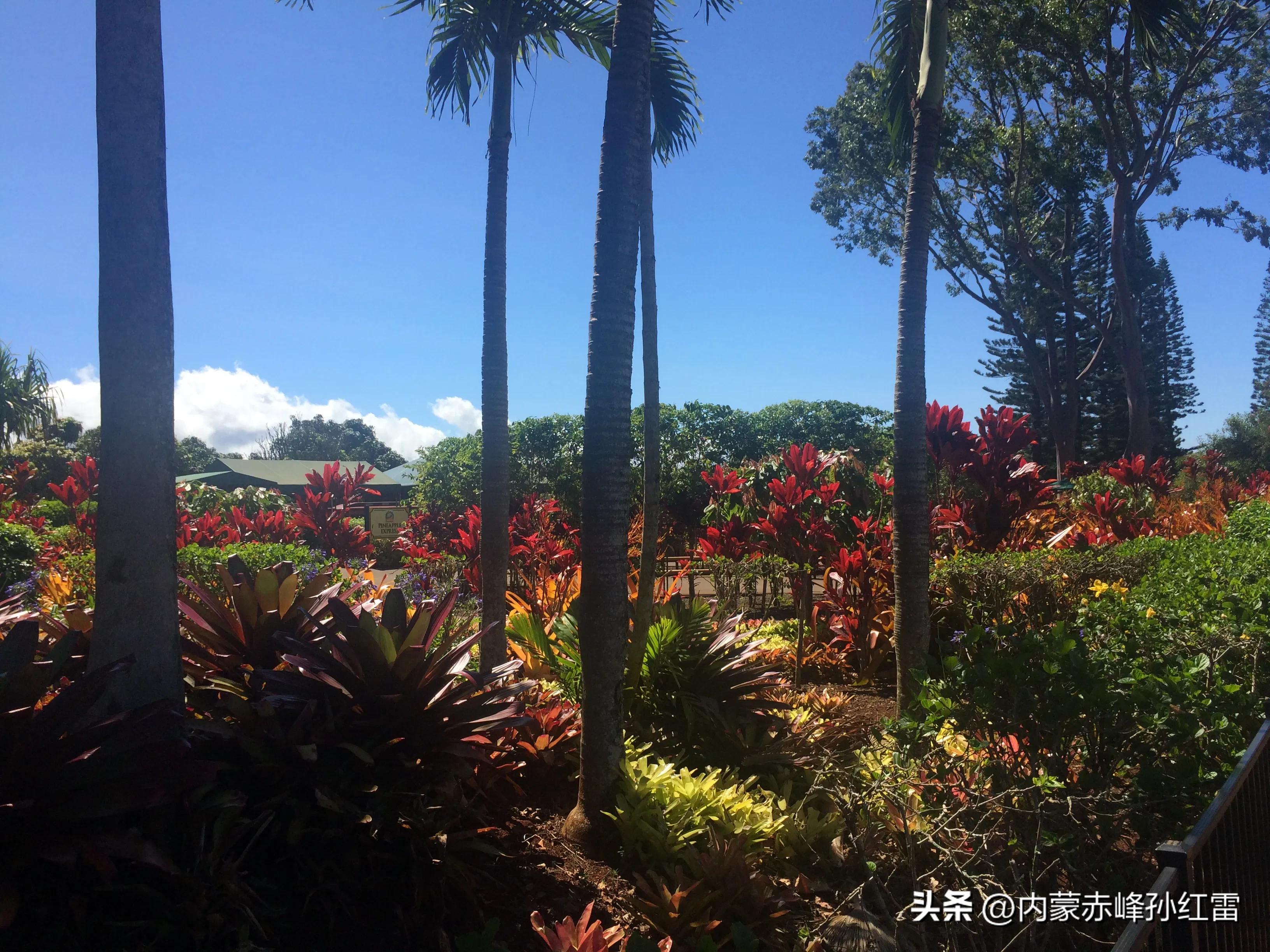 我的母校-红旗中学