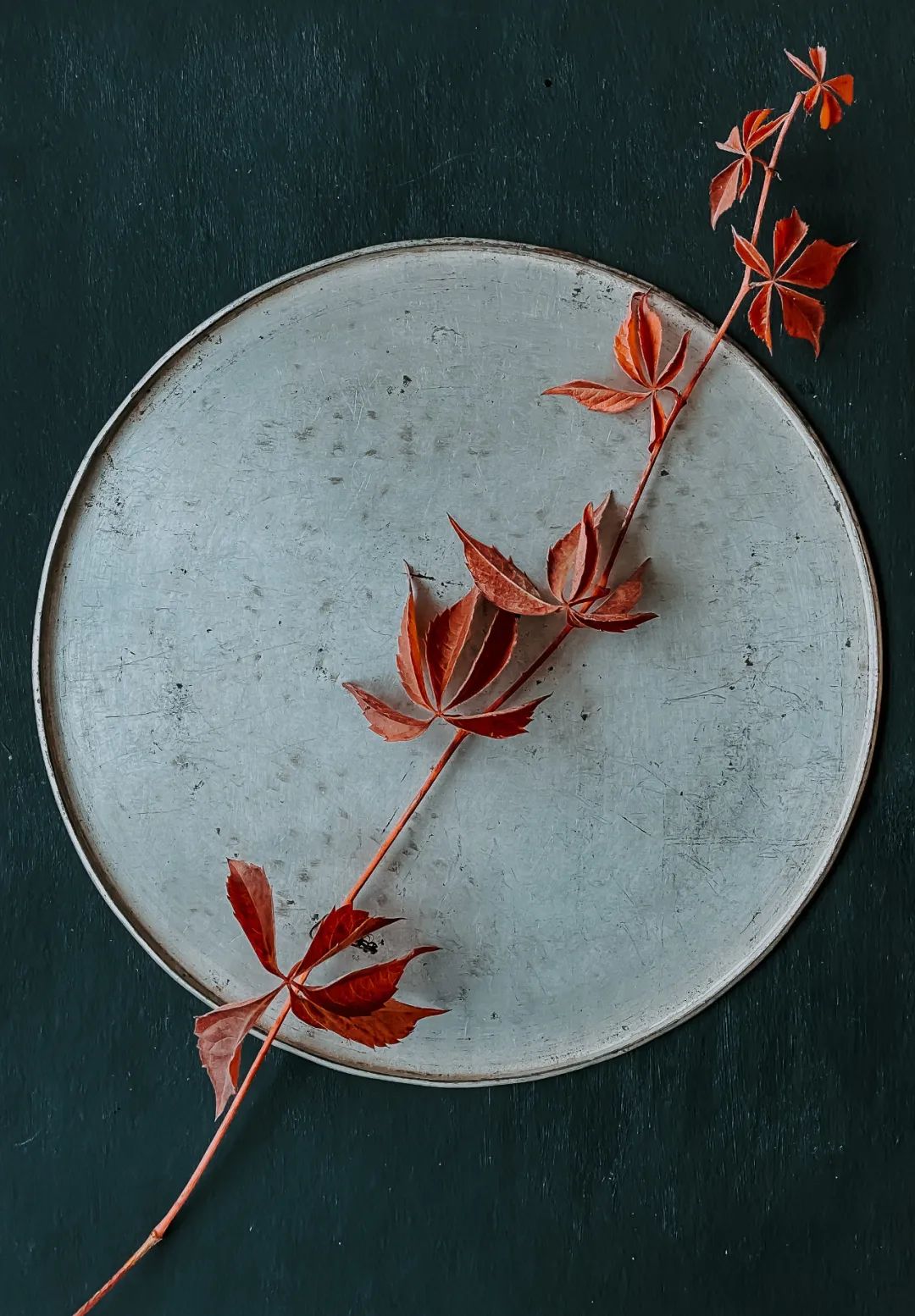 写给努力了但成绩不理想的评语,写给努力生活的你的话