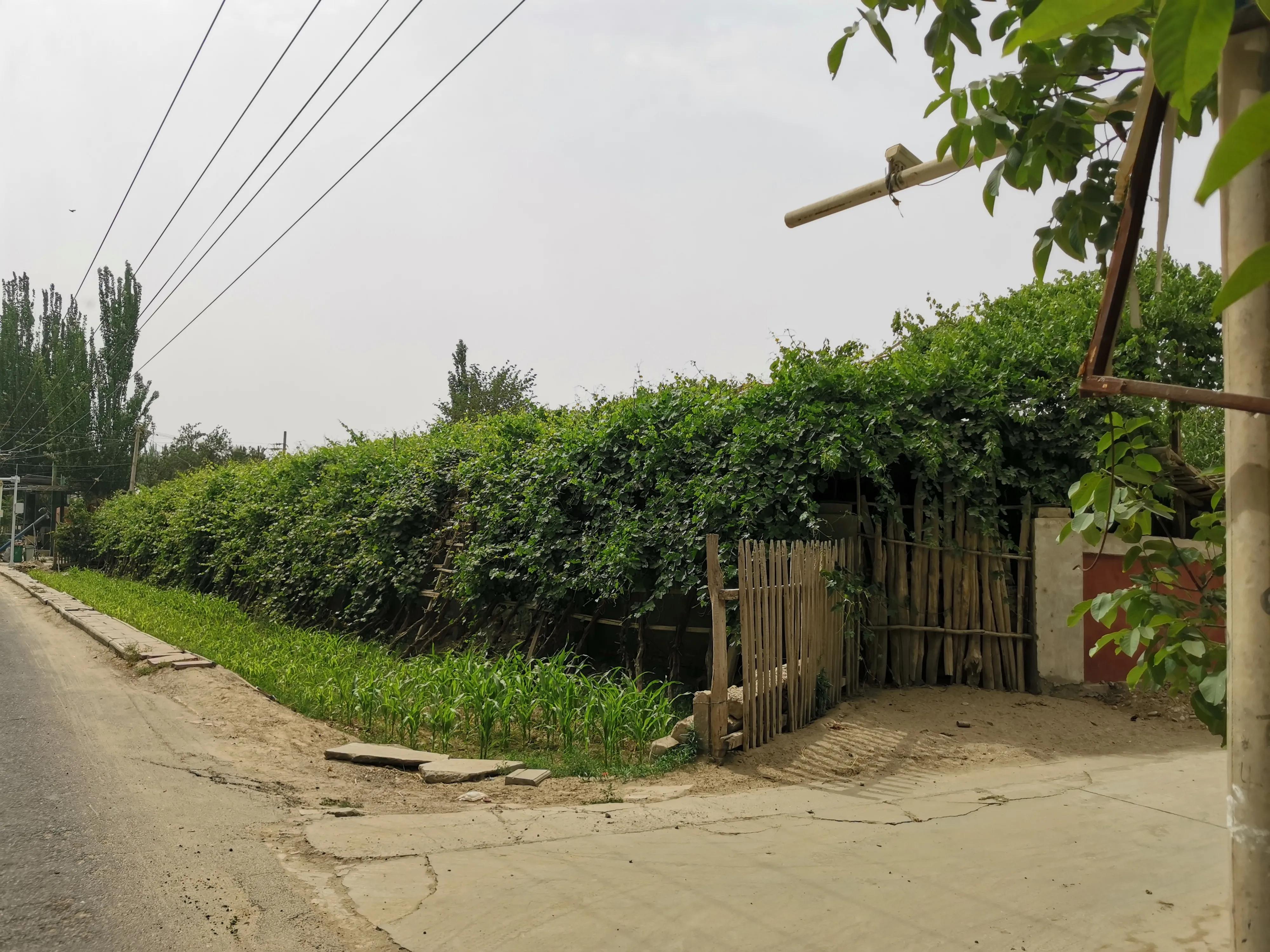 骑行新疆喀什噶尔,和田至阿拉尔沙漠公路骑行攻略