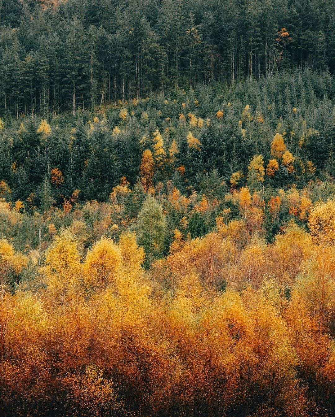 面对生活就应该摸爬滚打,面对生活一定要学会笑