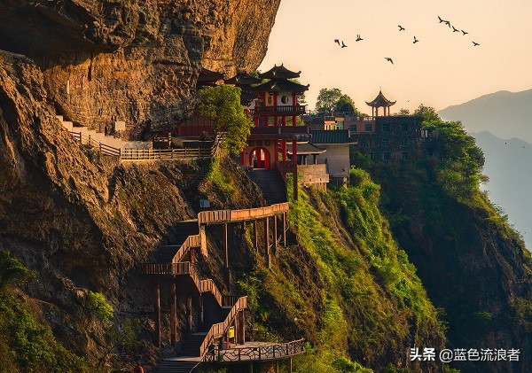 福建省有哪个城市,漳州为什么是水仙花之乡