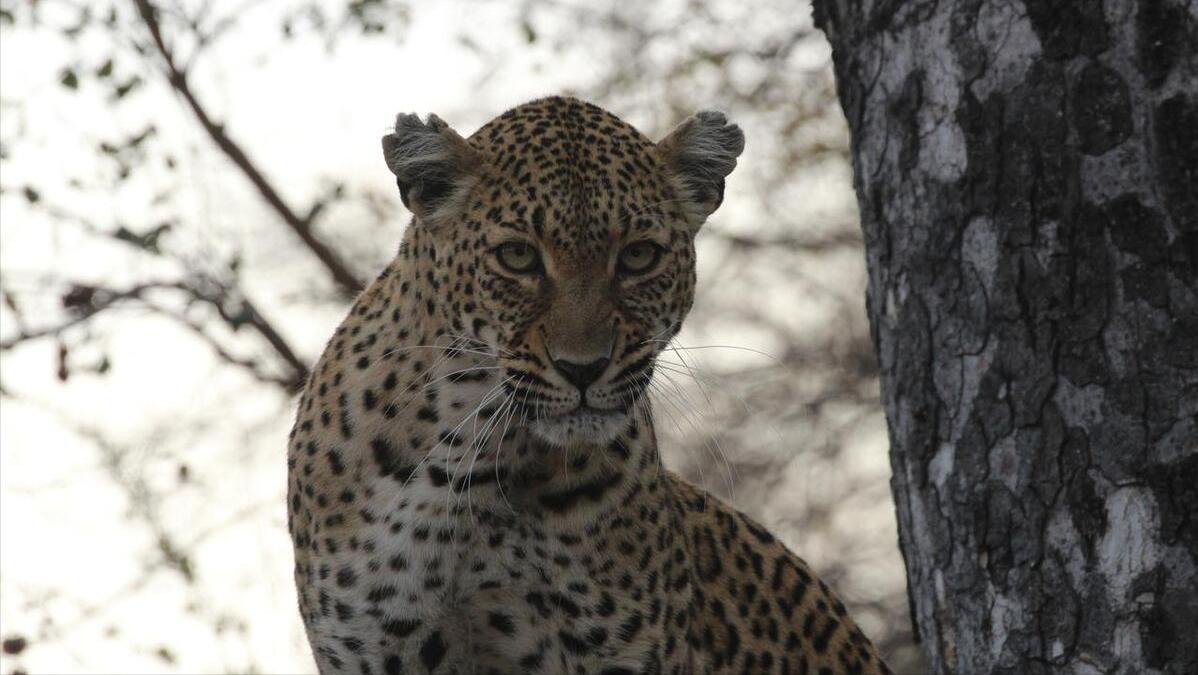 高考应该选什么行业好呢,高考应该选什么行业