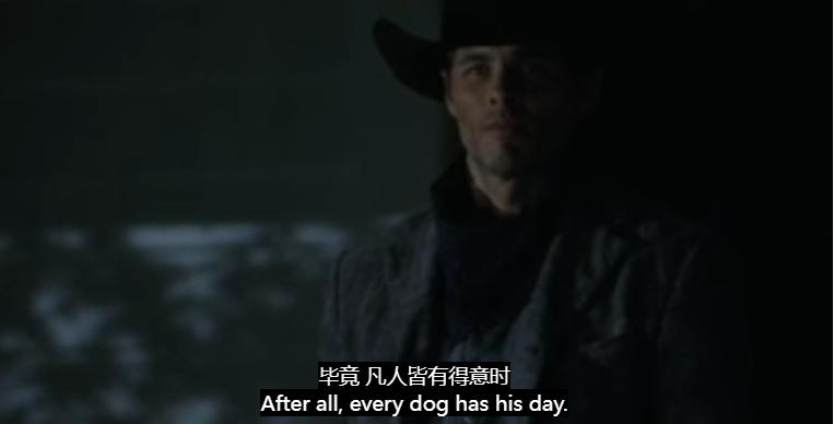 这届学生，开始在宿舍遛“纸狗”了