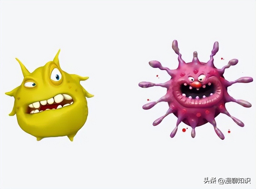 细菌感染会影响体内胰岛素吗,植物乳杆菌会对人体有影响吗