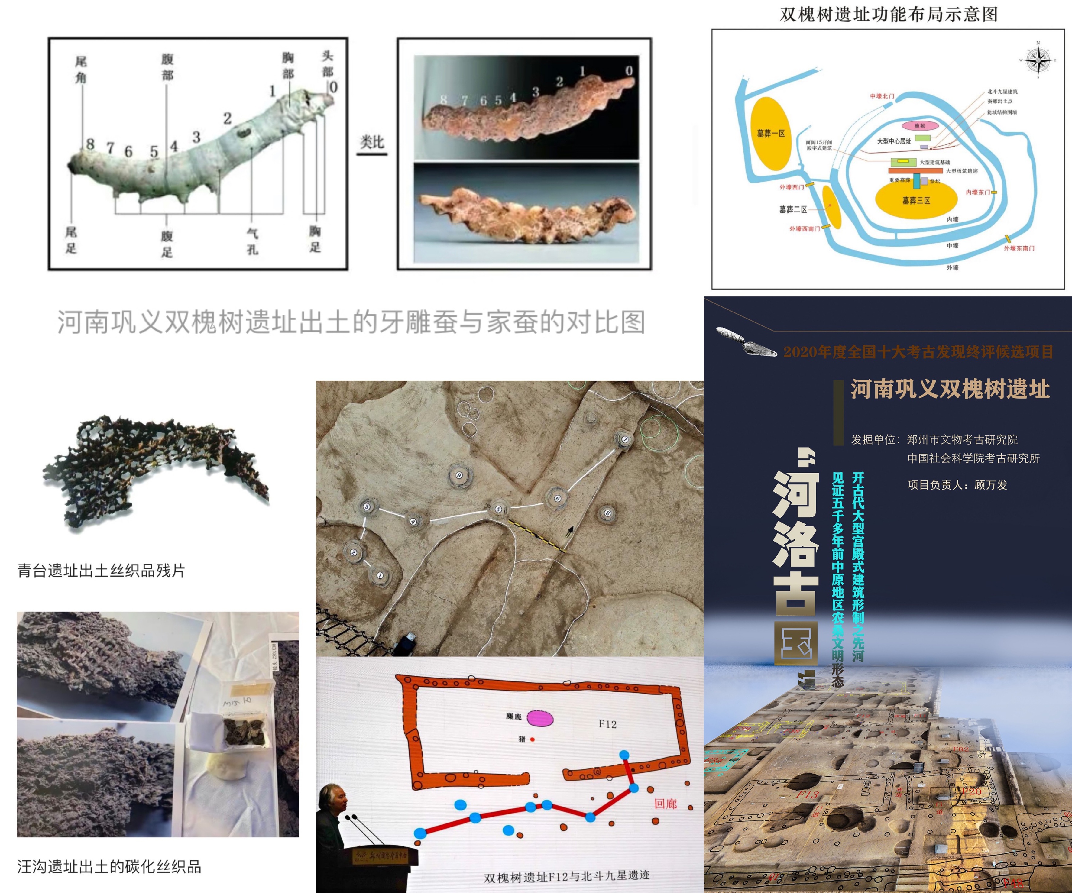 新郑为什么是黄帝的故里,新郑黄帝故里为什么叫黄帝故里
