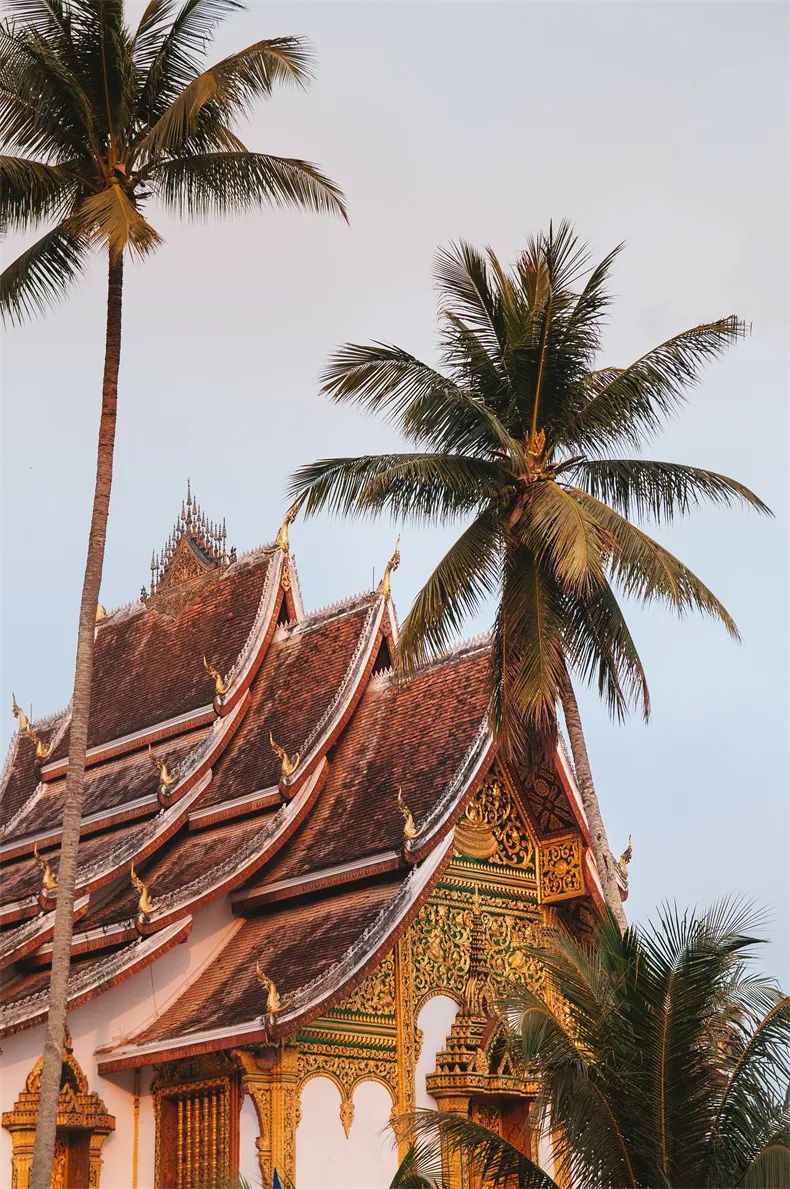 坐火车去老挝旅游靠谱吗,坐上动车去老挝