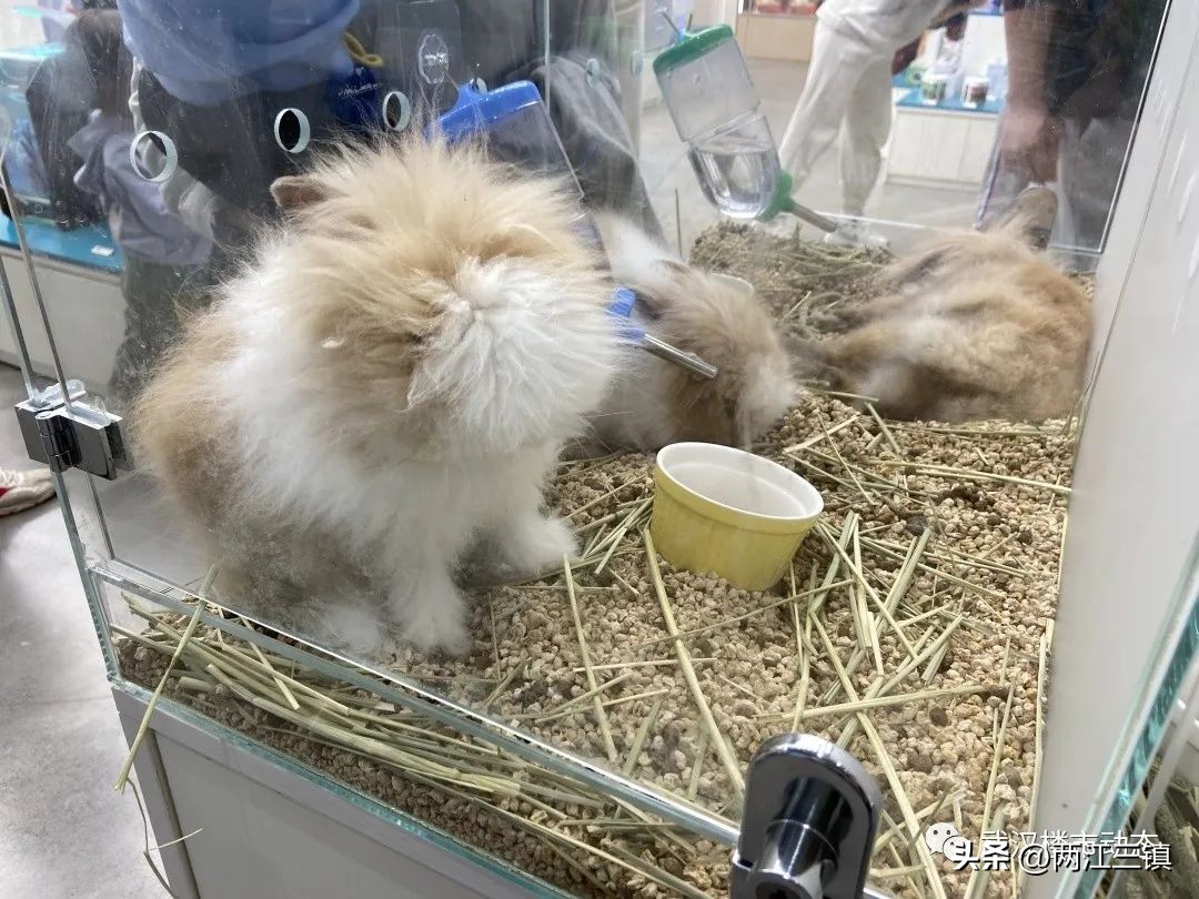 实探南京开市客首店,最大综合商业体