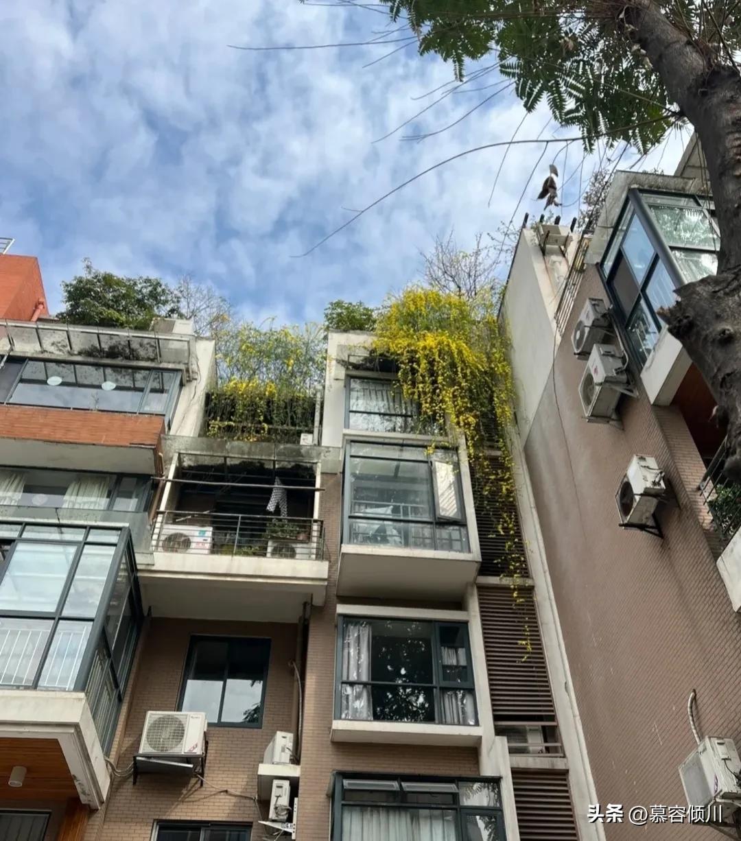 住了4年2楼，我太崩溃了！痛定思痛，再买房，绝对不考虑低层了！