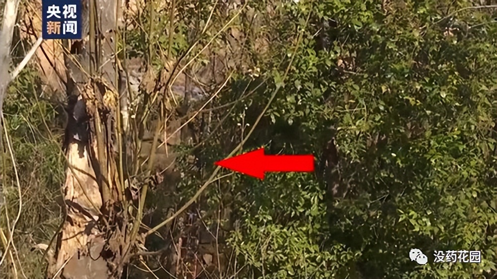 胡鑫宇事件:15岁少年自缢身亡,真相背后,或许可以是另一种结局