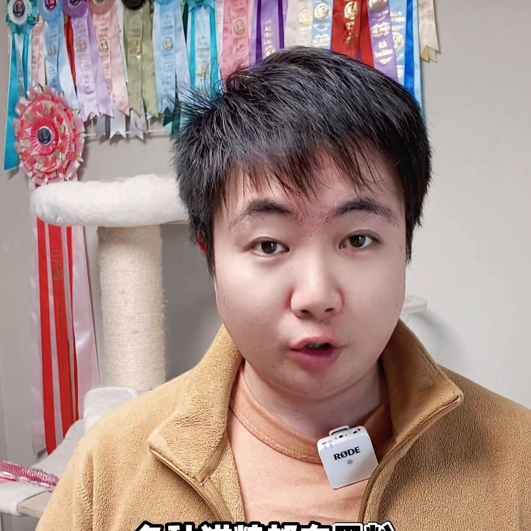 养猫买粮,养猫人买猫粮遇到的问题