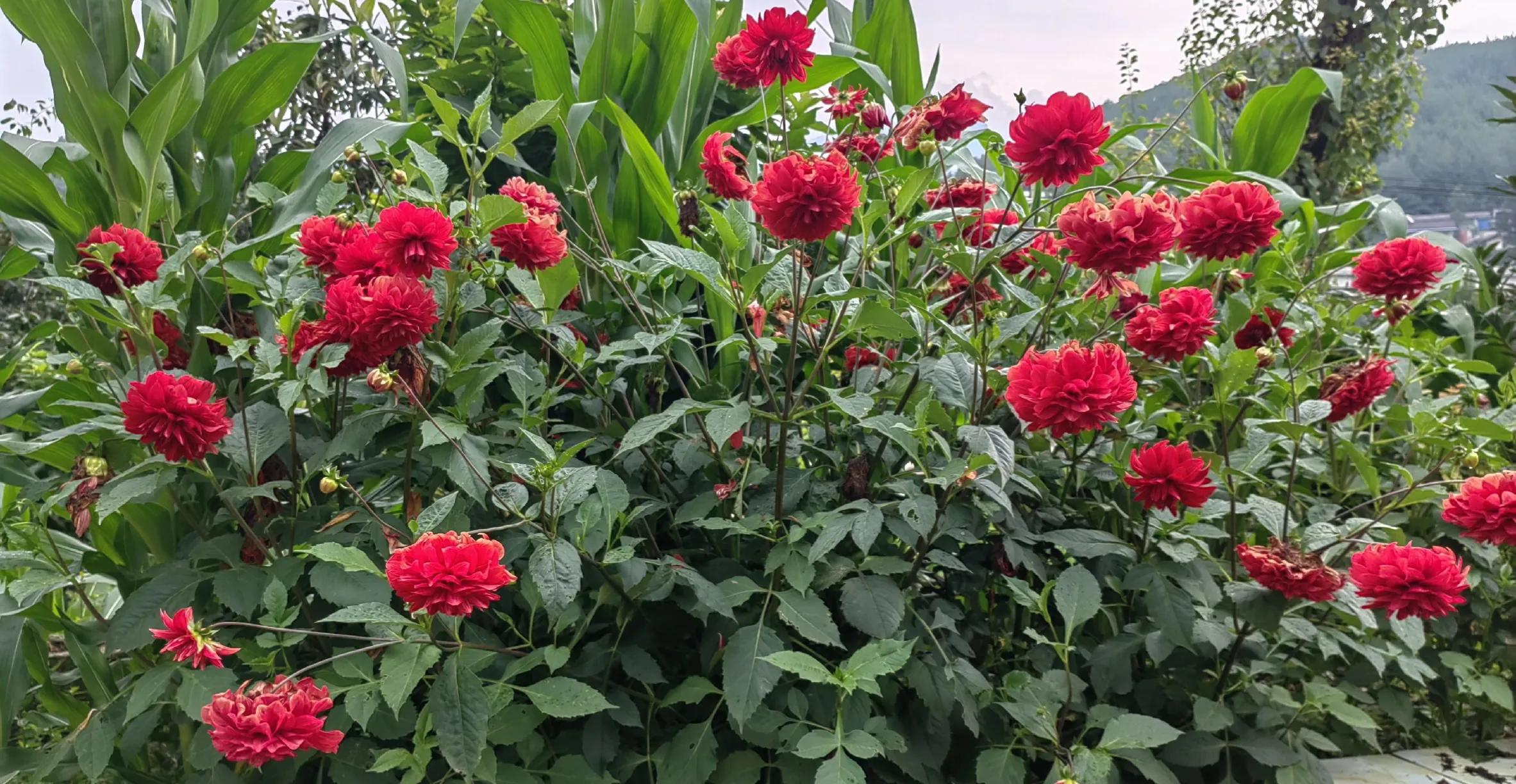 怎么说话表达有条理有逻辑,能说会道的表达能力怎么写