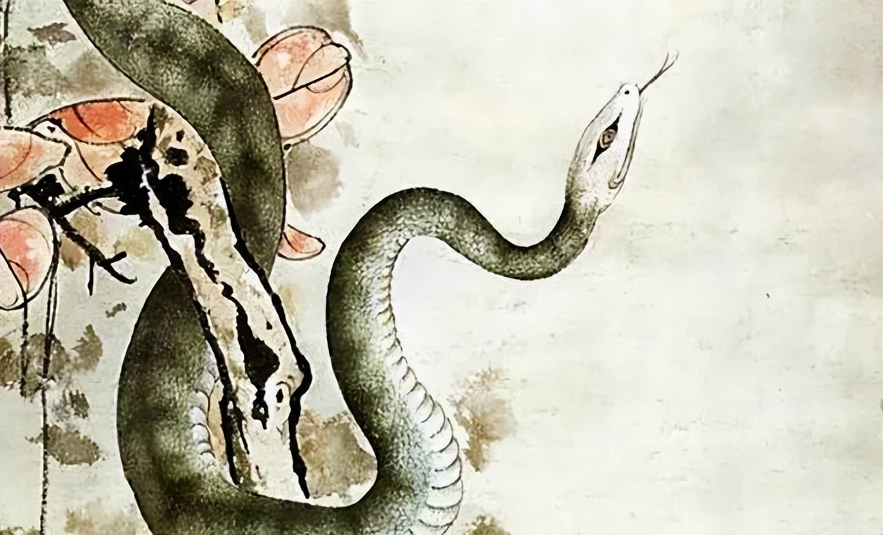 男子扫墓遇见大蛇熊猫头,男子扫墓时遇见鳄鱼蛇王