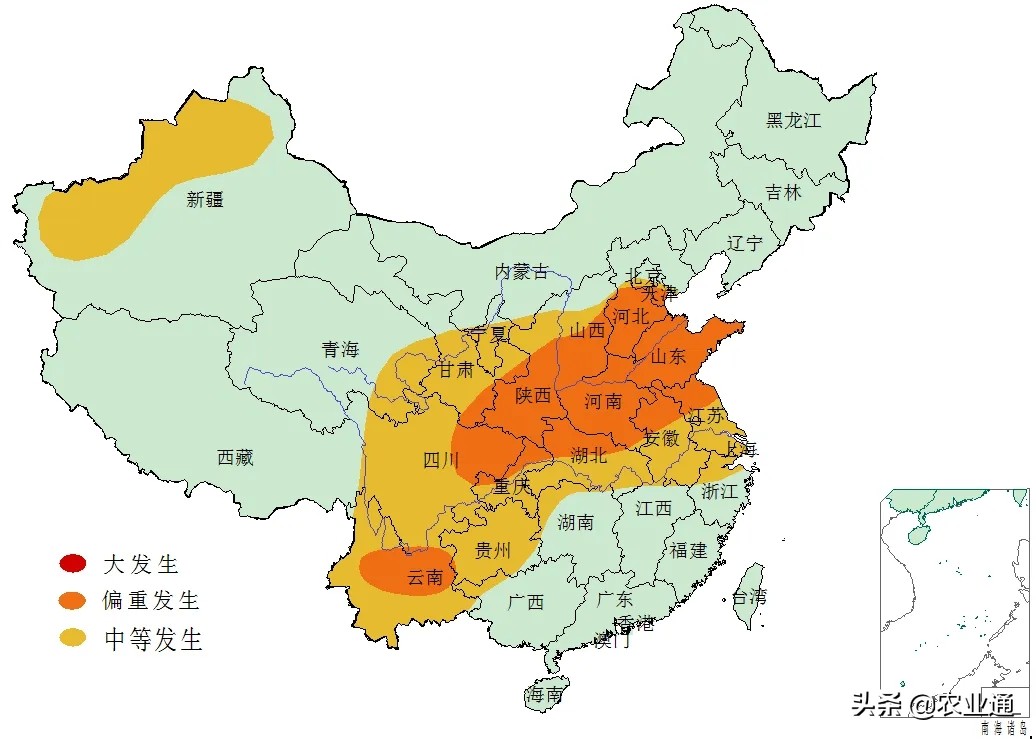 防治小麦蚜虫最佳药,邢台小麦蚜虫防治时间