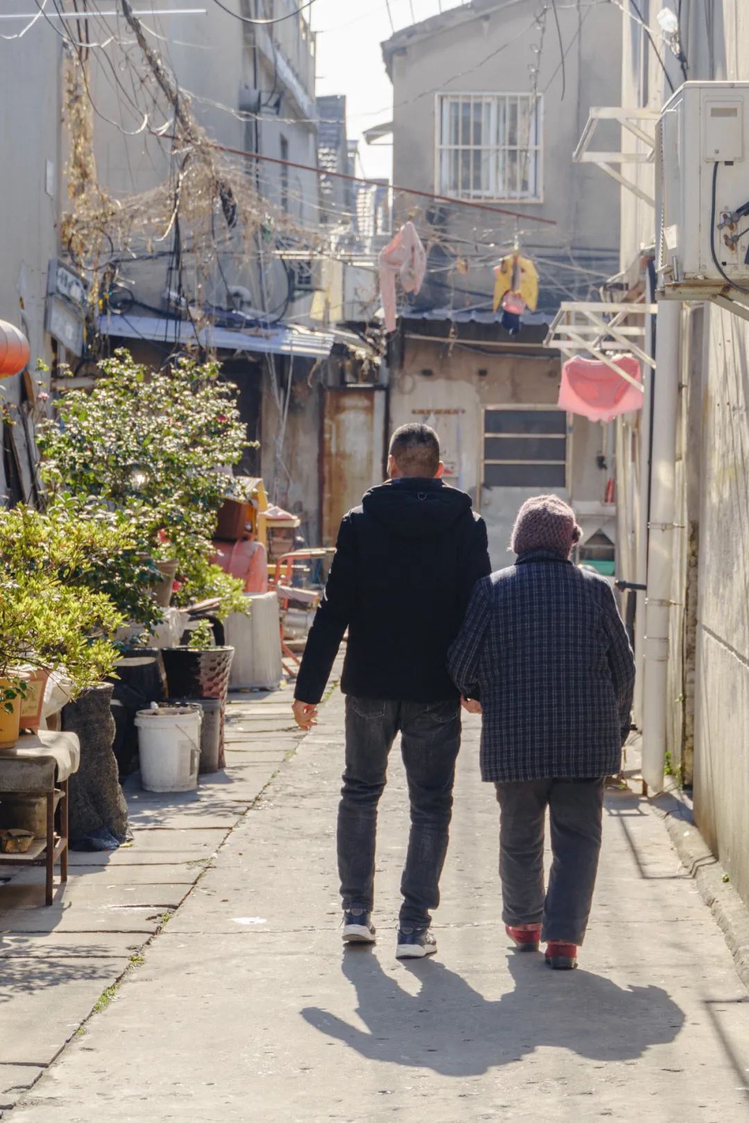 南京东山老鹅哪里最好,南京江宁区老鹅