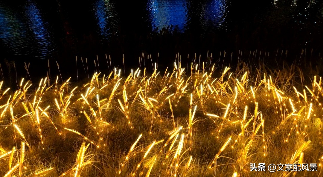 轮船港滨水公园什么时候建好,轮船港滨水公园