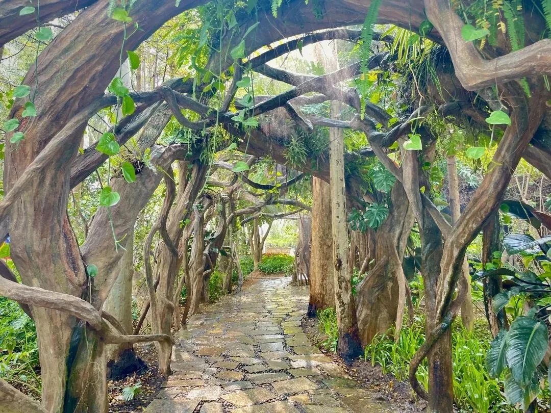 brt鐜板湪鎬庝箞涔樺潗,brt涔樺潗鏀荤暐