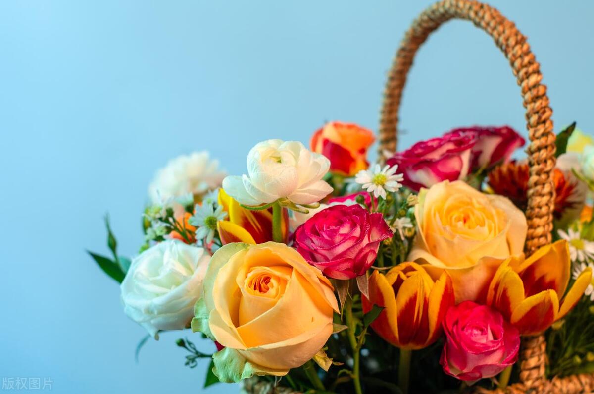 鲜花店预约小程序,网上鲜花店小程序