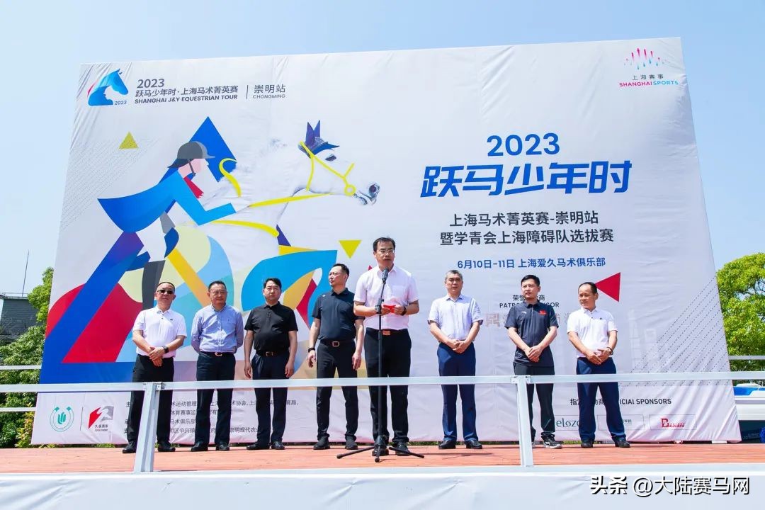 2020上海马术青少年锦标赛,2019年上海马术障碍赛