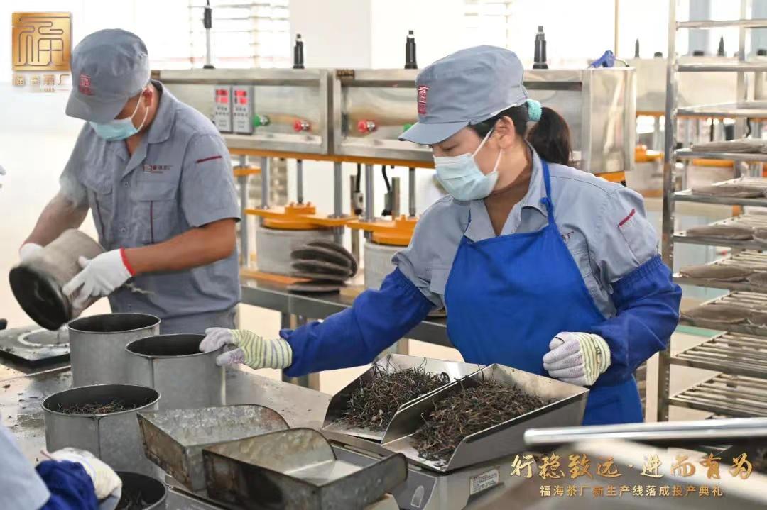 福海茶厂原料,福海茶厂地址