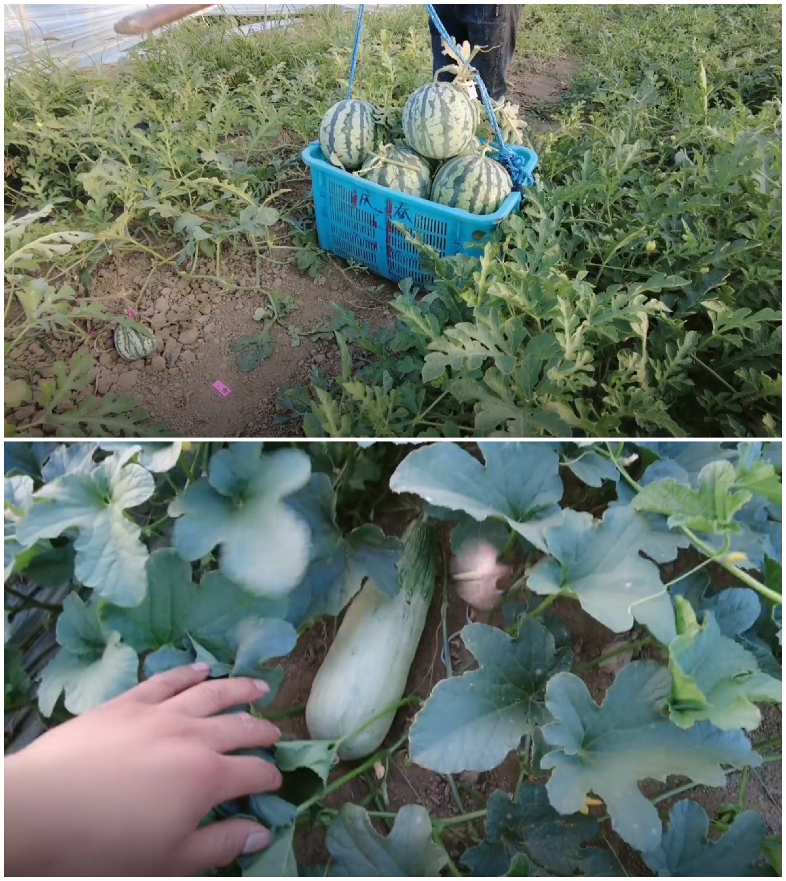 新车分享,金杯金卡s62改装大屏幕