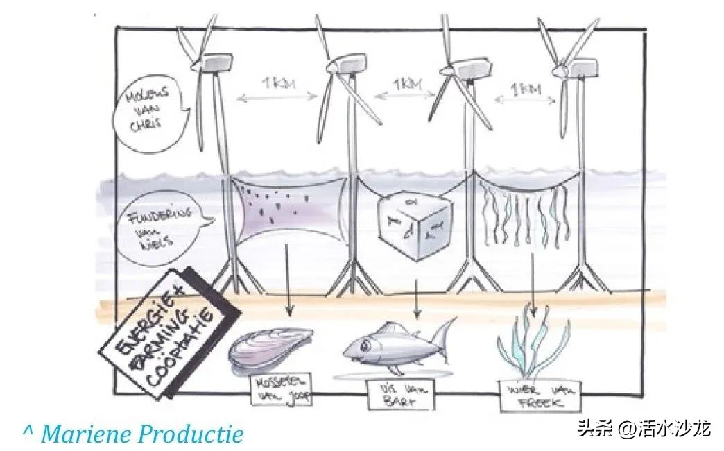 荷兰有什么三角洲,荷兰的三角洲工程