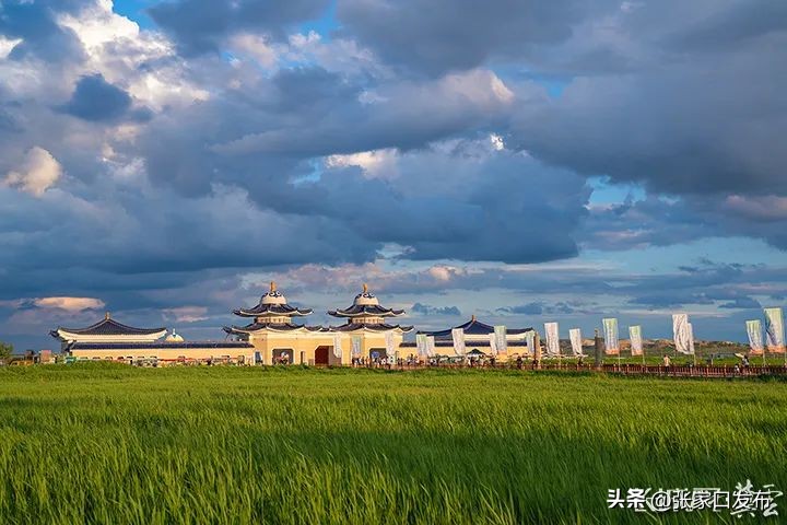 来坝上草原的第二天,来内蒙古天空草原感受慢生活