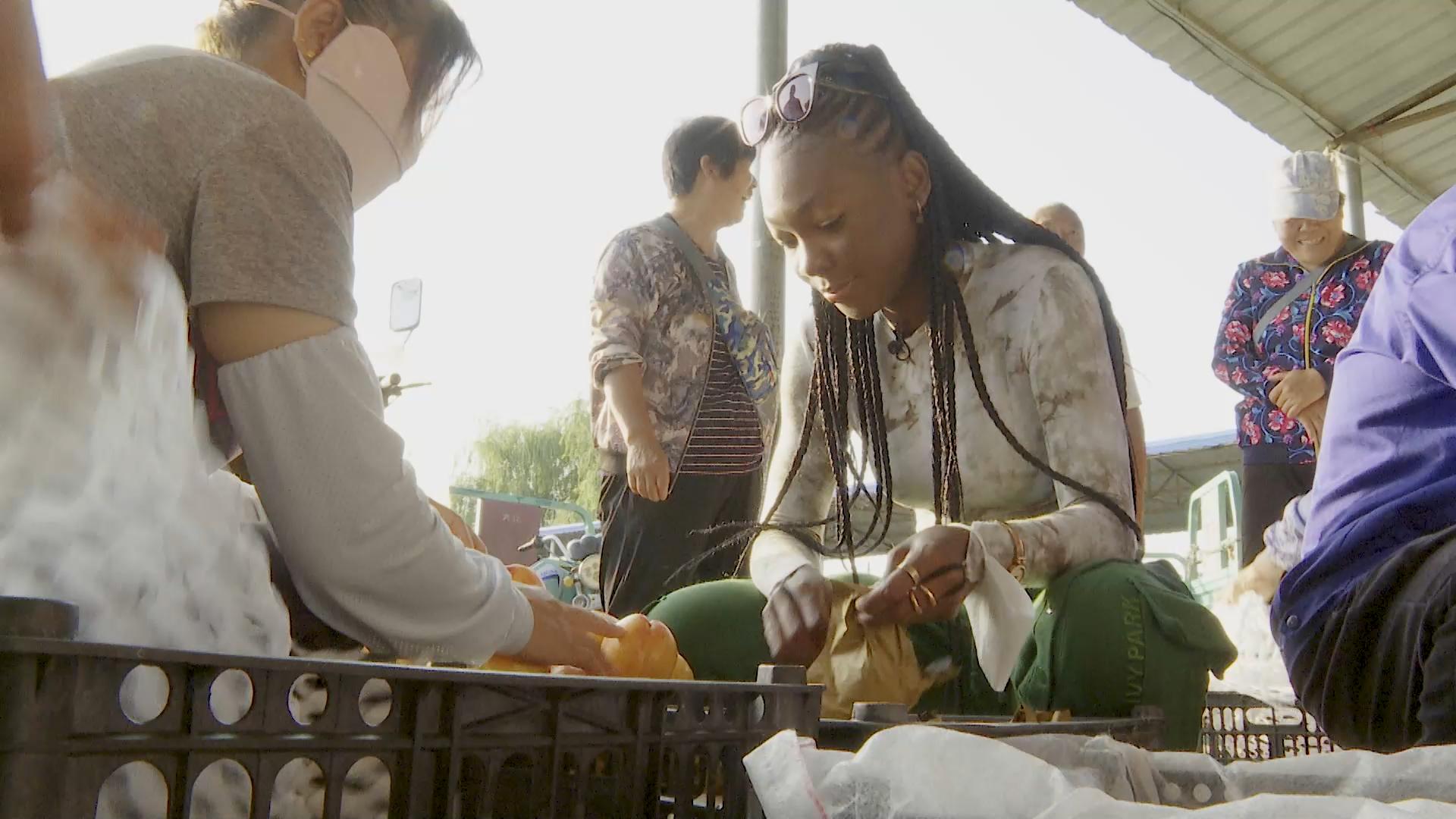 四达时代首档乡村体验真人秀带领非洲观众近距离感受中国乡村振兴