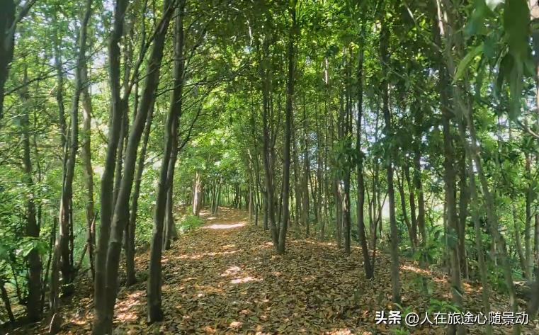 世界这么大去哪看比较好,宁波江北区景点