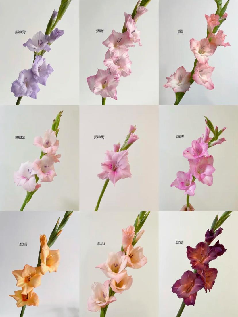 那些没说出口的话就留在心里,那些没说出口的话就藏在心里吧