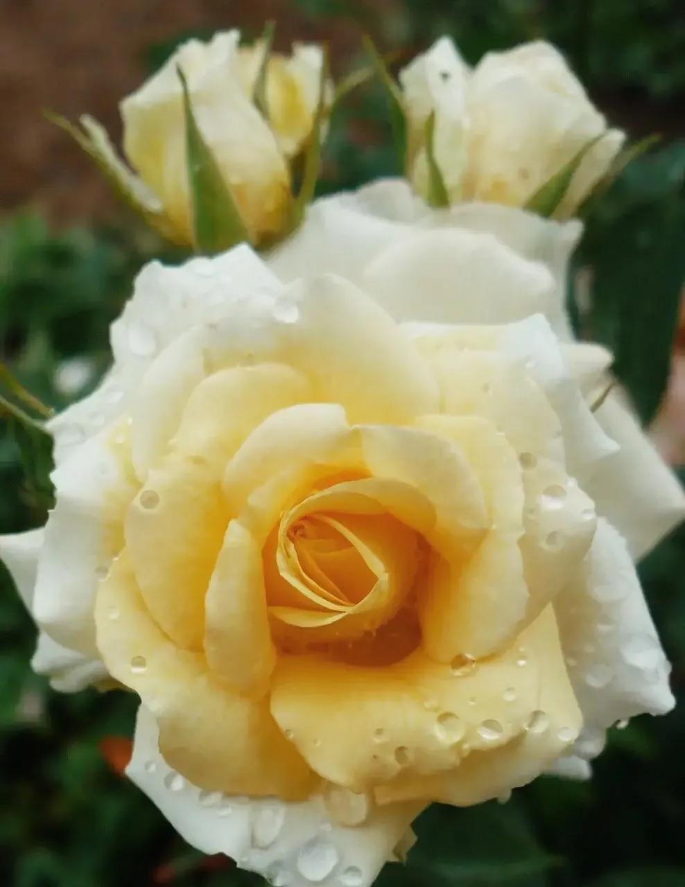 头条新手创作注意事项,头条创作注意哪些事项