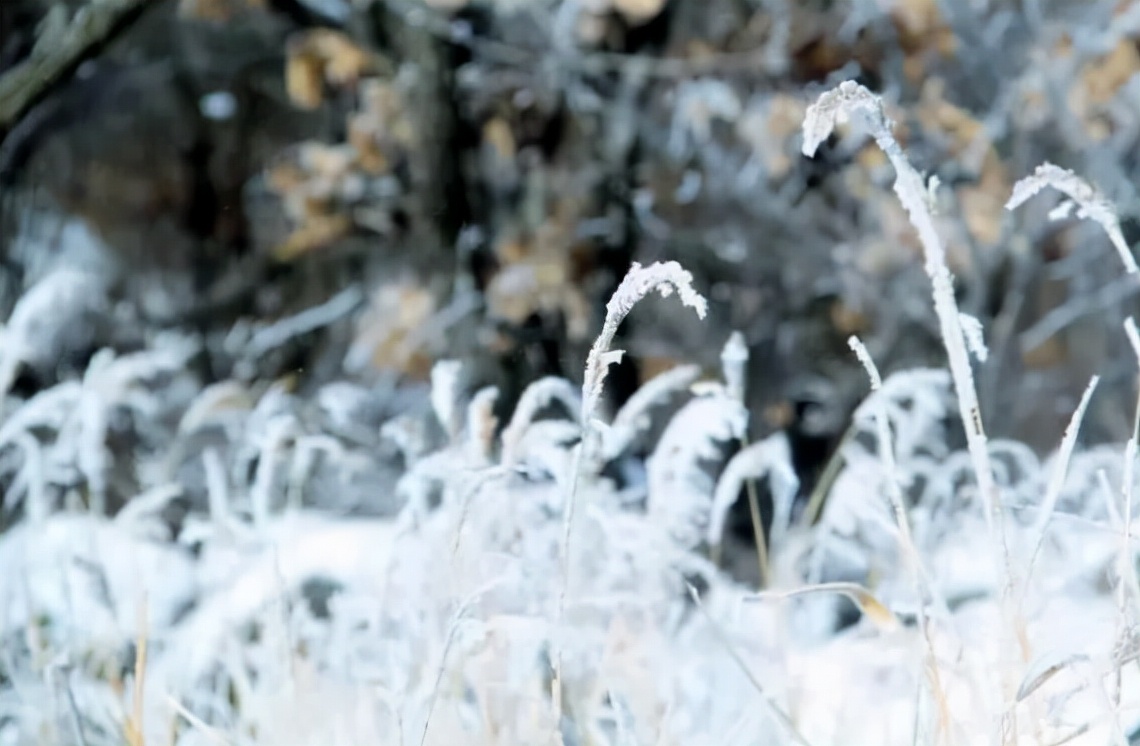 北风卷地寒侵骨,关于北风的诗句古诗大全
