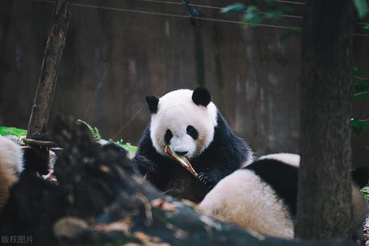 暑假亲子游玩好去处推荐团购,暑假适合亲子游乐园有哪些