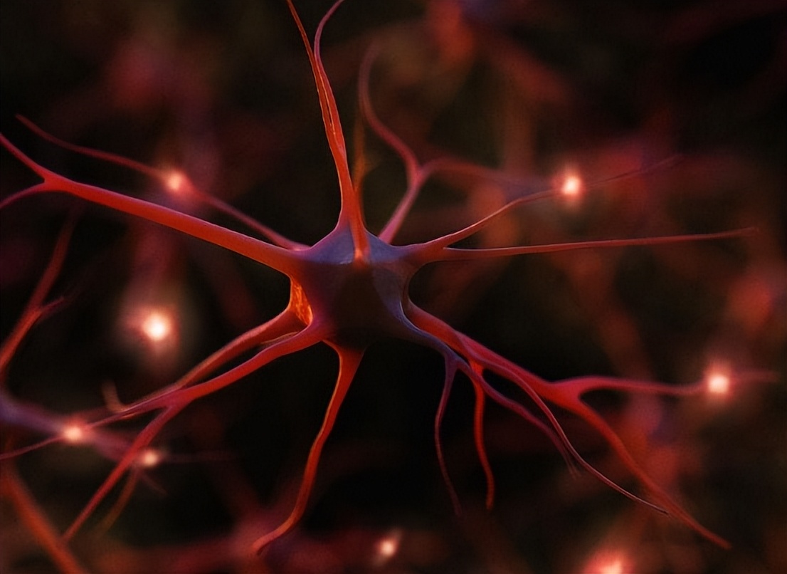 镉超标会引起哪种疾病,镉偏低的危害