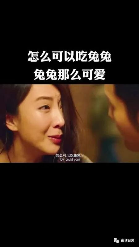 属兔的人和兔子有什么关系,兔年说兔的阅读理解