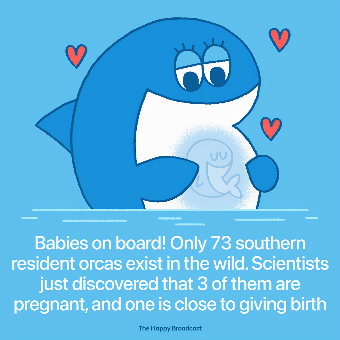 2021年世界如此沉重！可还是有40件美好的事暖如春阳