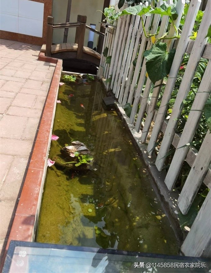 北京密云精品民宿小院,北京密云轻奢民宿